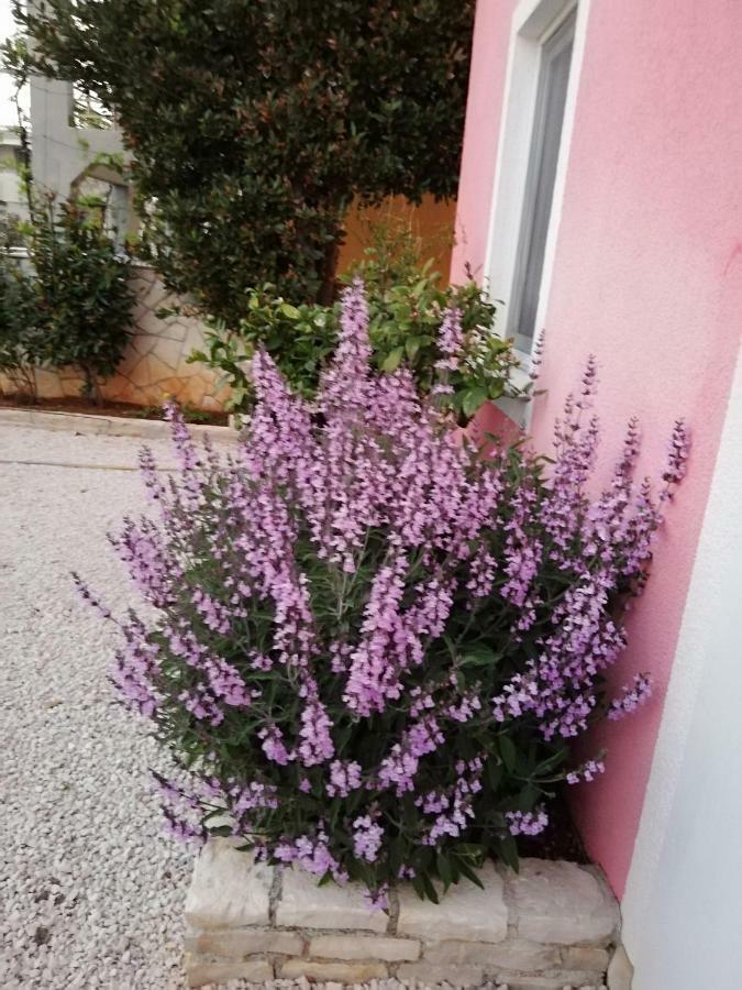 Apartmani Poljanec Vir Eksteriør bilde
